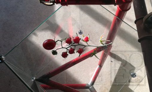 sprinklervitrine.jpg