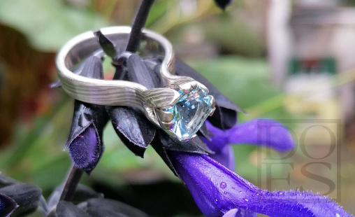 Does-natuur-powerflowerring.jpg