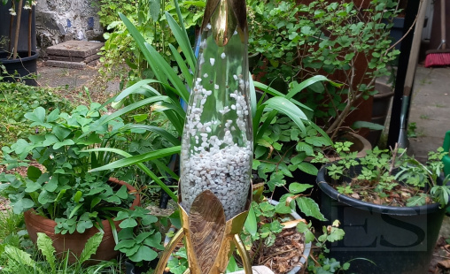 Urn-Raket-naar-de-sterren
